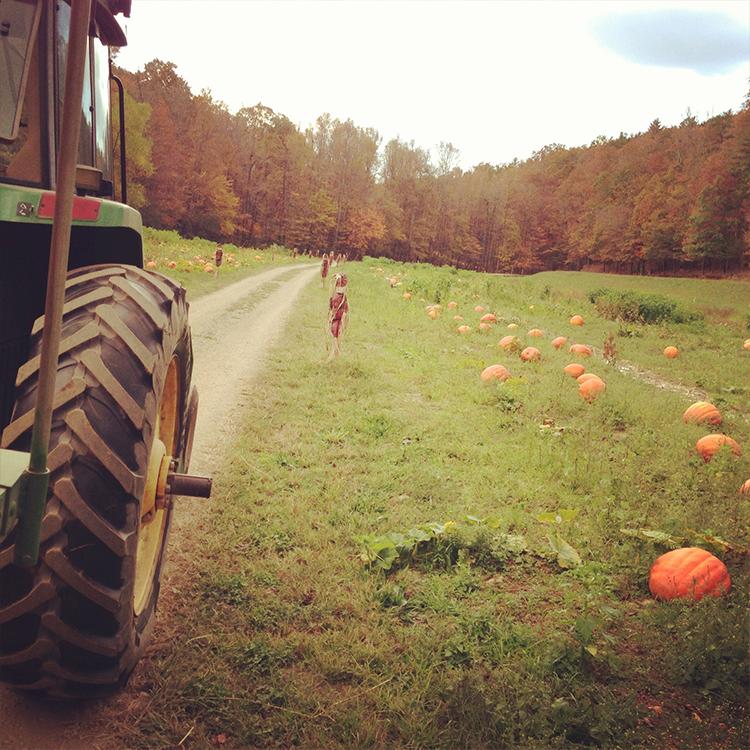 Farmers Make the Holidays Special